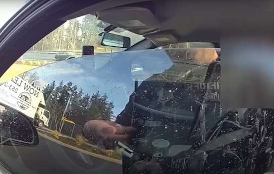 Pierce County Deputies Arrest Speeder for Obstruction, Apprehend Wanted Felon, and Seize Firearm from Intoxicated Shooter