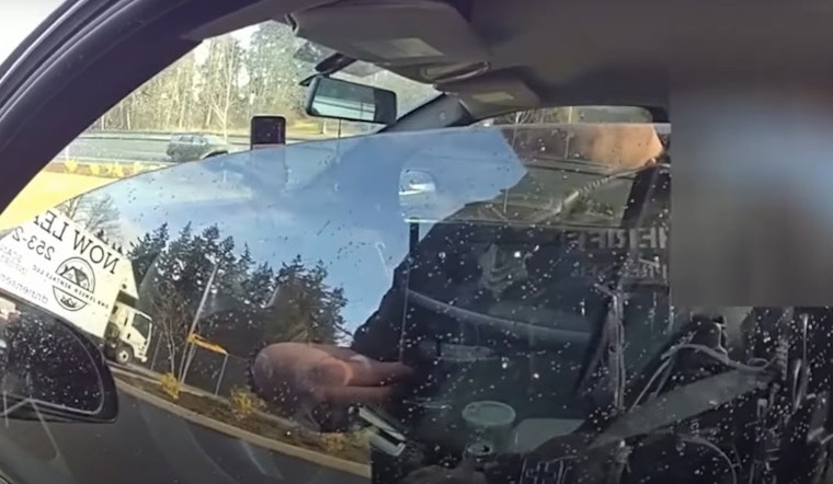 Pierce County Deputies Arrest Speeder for Obstruction, Apprehend Wanted Felon, and Seize Firearm from Intoxicated Shooter