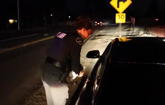 Pierce County Deputy's Traffic Blitz Nets 128 Citations on Canyon Road in a Single Day