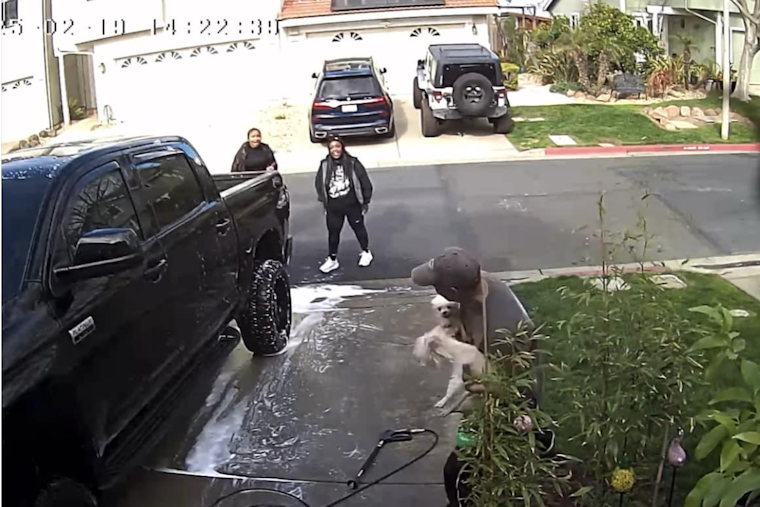 Pittsburg Police Investigate Suspected Animal Cruelty After Viral Video Sparks Outrage