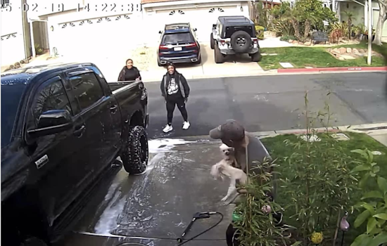 Pittsburg Police Investigate Suspected Animal Cruelty After Viral Video Sparks Outrage