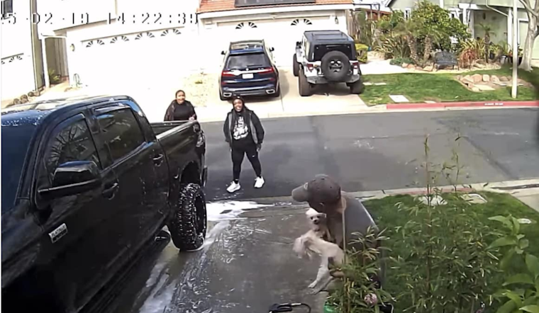 Pittsburg Police Investigate Suspected Animal Cruelty After Viral Video Sparks Outrage