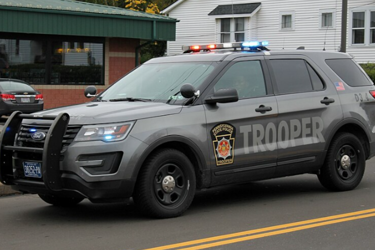 Pittsburgh Man, 71, Dies in Tree-Cutting Accident in Washington County, Investigation Underway