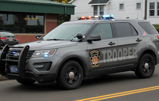 Pittsburgh Man, 71, Dies in Tree-Cutting Accident in Washington County, Investigation Underway