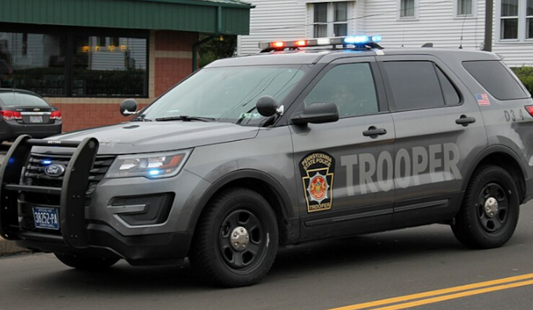 Pittsburgh Man, 71, Dies in Tree-Cutting Accident in Washington County, Investigation Underway