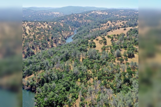 Placer County Approves $2.1 Million Conservation Easement to Protect Vista Ranch's 279 Acres Near Lincoln