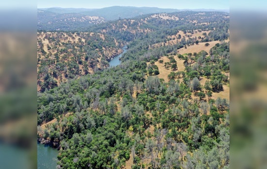 Placer County Approves $2.1 Million Conservation Easement to Protect Vista Ranch's 279 Acres Near Lincoln