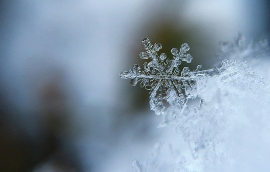 Portland and Vancouver Brace for Frost, Snow, and Ice as Cold Weather Advisories Issued
