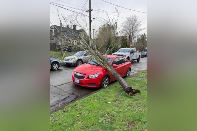Portland Parks and Recreation's Urban Forestry Crews Work Round the Clock to Clear Post-Storm Debris