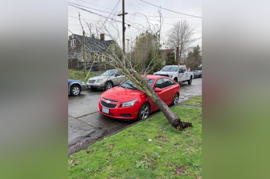 Portland Parks and Recreation's Urban Forestry Crews Work Round the Clock to Clear Post-Storm Debris