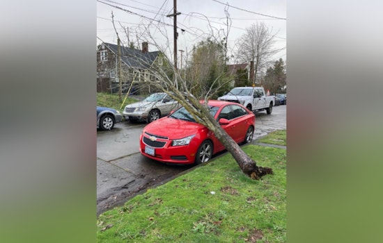 Portland Parks and Recreation's Urban Forestry Crews Work Round the Clock to Clear Post-Storm Debris