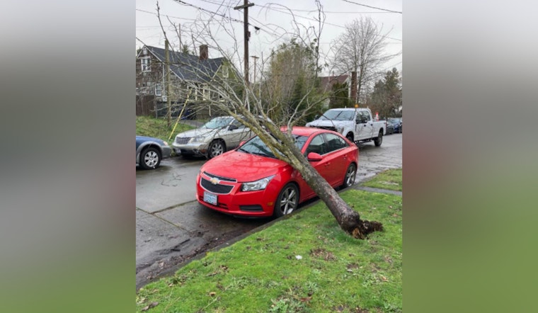 Portland Parks and Recreation's Urban Forestry Crews Work Round the Clock to Clear Post-Storm Debris