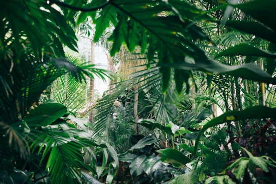 Portland Water Bureau Releases Guide for Eco-Friendly Gardening with Native Plants