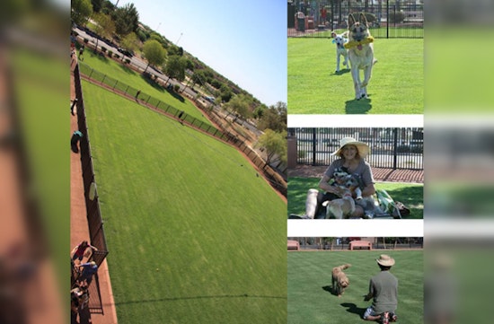 Queen Creek's Pocket Park for Pups to Relocate to Founders' Park by 2025, Making Way for New Police HQ