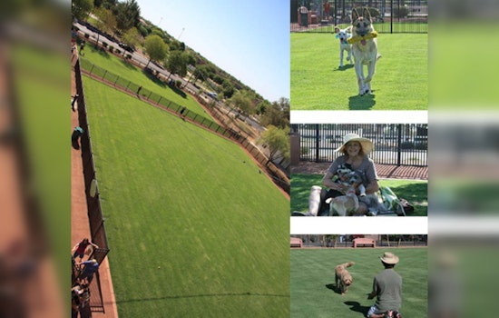 Queen Creek's Pocket Park for Pups to Relocate to Founders' Park by 2025, Making Way for New Police HQ