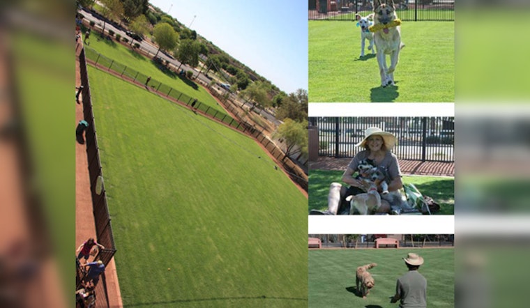 Queen Creek's Pocket Park for Pups to Relocate to Founders' Park by 2025, Making Way for New Police HQ