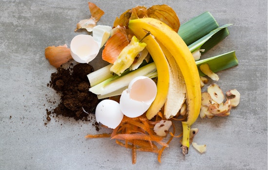 Ramsey County Businesses Earn License Discounts by Joining Food Waste Diversion Initiative