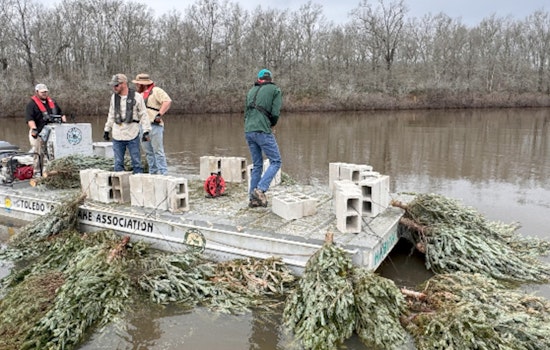 Recycled Christmas Trees Anchor New Fish Habitats in Louisiana's Saline-Larto Complex