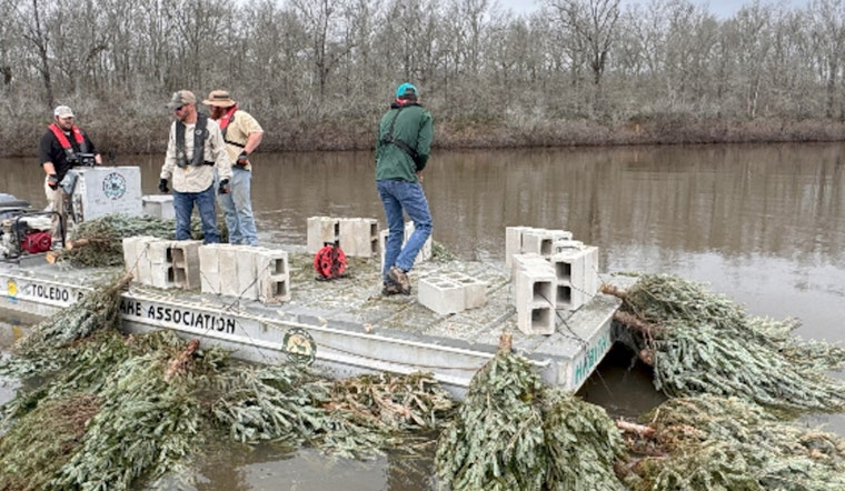 Recycled Christmas Trees Anchor New Fish Habitats in Louisiana's Saline-Larto Complex