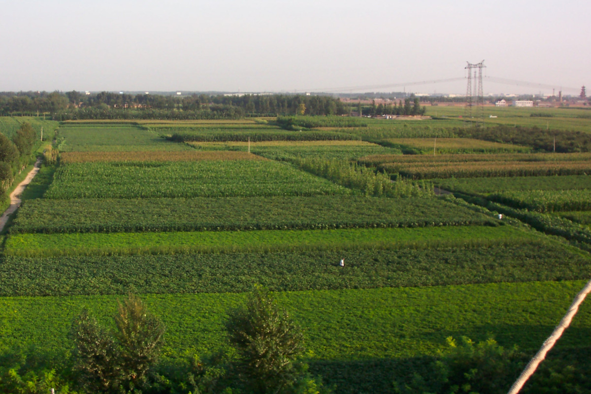 Revolutionary Microbes Unleashed on American Farms as Pivot Bio's