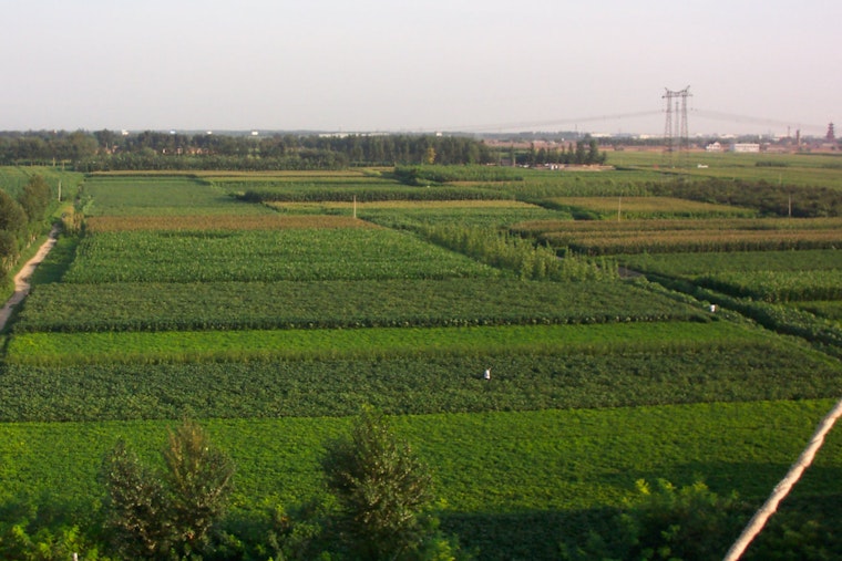 Revolutionary Microbes Unleashed on American Farms as Pivot Bio's Nitrogen Fix Could Upend Global Energy Use