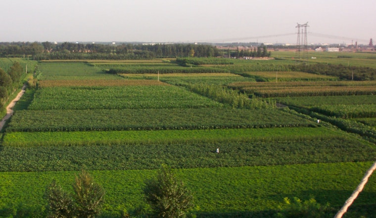 Revolutionary Microbes Unleashed on American Farms as Pivot Bio's Nitrogen Fix Could Upend Global Energy Use