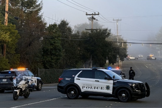 Richmond Police Nab Suspected Hit-and-Run Driver Thanks to Flock Surveillance Tech