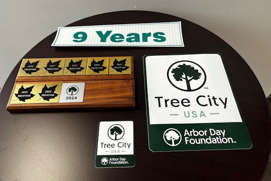 Rolesville Earns Tree City USA Recognition for Ninth Consecutive Year