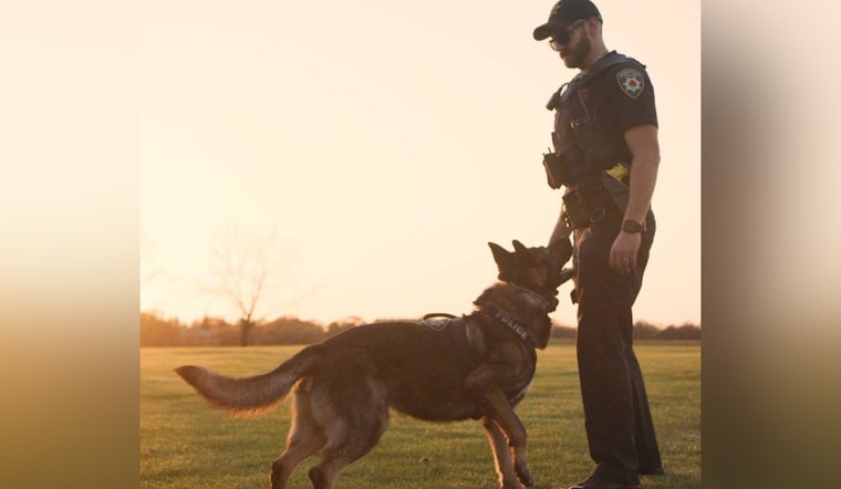 Roseville's Famed K-9 Lance Hangs Up His Badge After Seven Years of Service