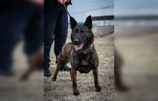 Round Rock Police Department Welcomes New Explosive-Detection K-9, Reka, to Their Ranks