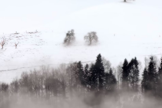 Sacramento Braces for Chilly Weekend with Winter Storm Warning and Dense Fog Advisory