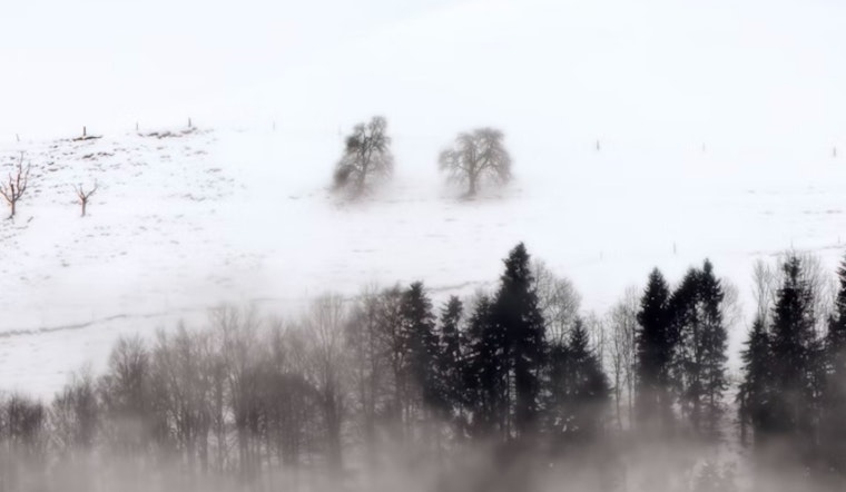Sacramento Braces for Chilly Weekend with Winter Storm Warning and Dense Fog Advisory
