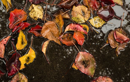 Sacramento Braces for Chilly Winds and Heavy Rain, Mountain Snow Forecasted