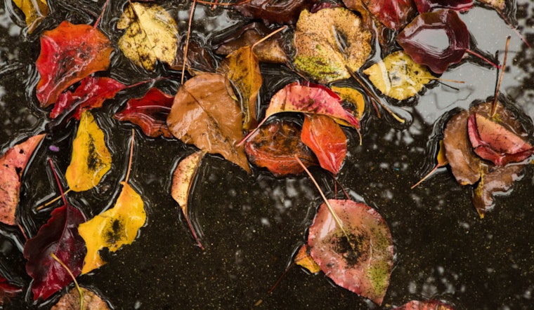 Sacramento Braces for Chilly Winds and Heavy Rain, Mountain Snow Forecasted