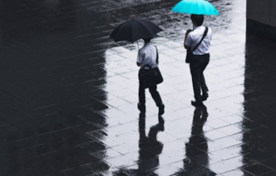 Sacramento Braces for Weather Whiplash: Foggy Mornings and Rain on The Horizon, Warmer Weekend Promised
