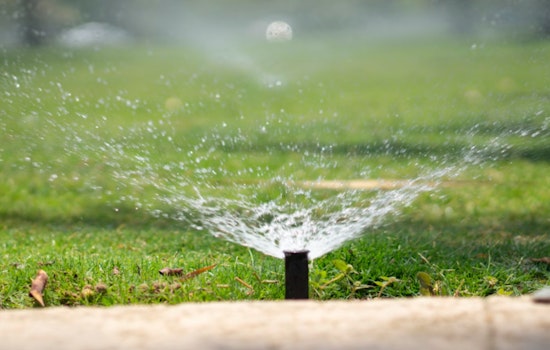 Sacramento Rolls Out Spring & Summer Watering Schedule for Lawns Starting March 1