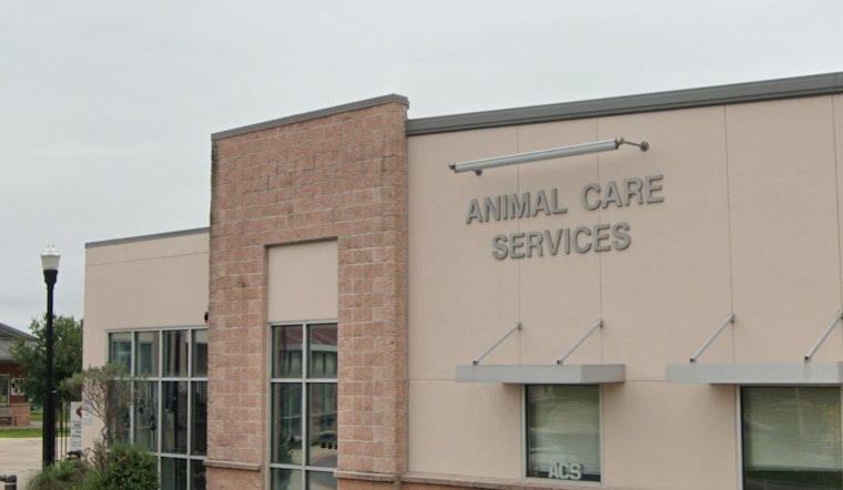 San Antonio Invites Residents to Find Their MVP with Fee-Waived Pet Adoptions on Super Bowl Sunday