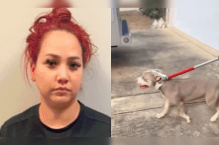 San Antonio Woman in Court Over Pit Bull Attack, Victim Suffers Serious Injuries