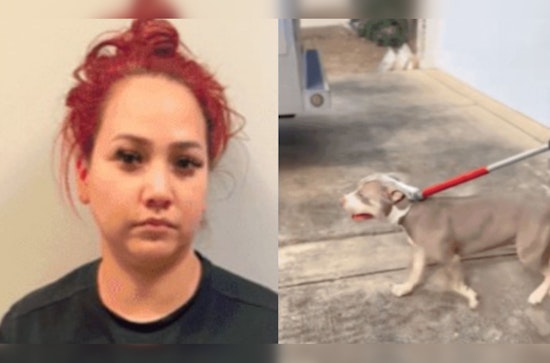 San Antonio Woman in Court Over Pit Bull Attack, Victim Suffers Serious Injuries