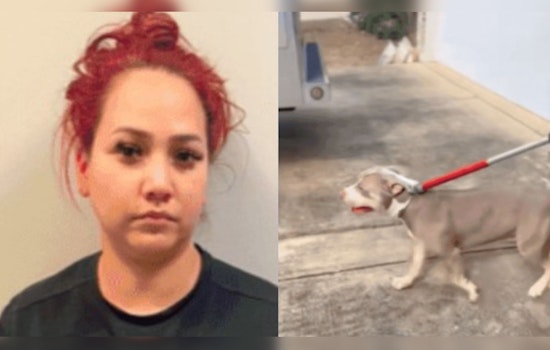 San Antonio Woman in Court Over Pit Bull Attack, Victim Suffers Serious Injuries