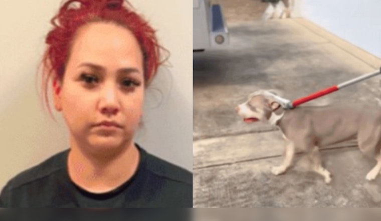 San Antonio Woman in Court Over Pit Bull Attack, Victim Suffers Serious Injuries