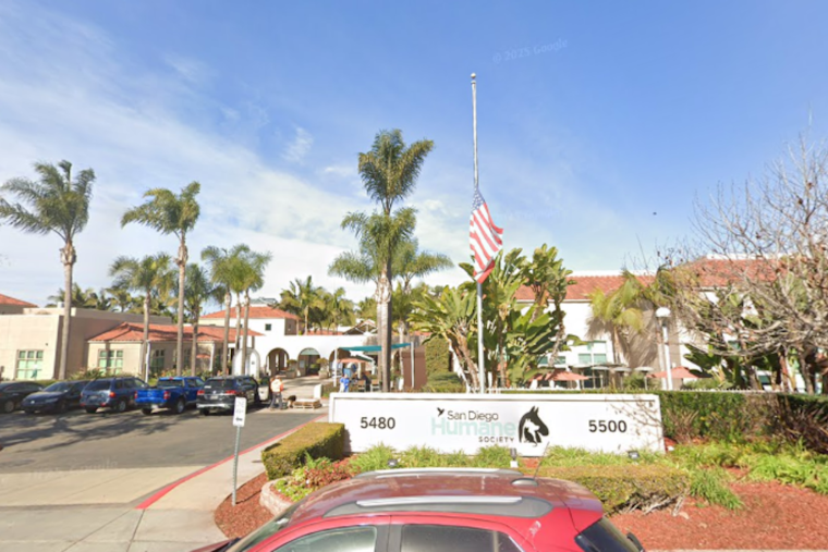 San Diego Man Sentenced for Felony Animal Cruelty in Violent Attack on Service Dog