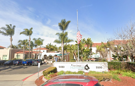 San Diego Man Sentenced for Felony Animal Cruelty in Violent Attack on Service Dog