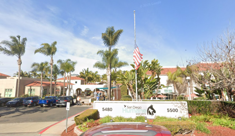 San Diego Man Sentenced for Felony Animal Cruelty in Violent Attack on Service Dog