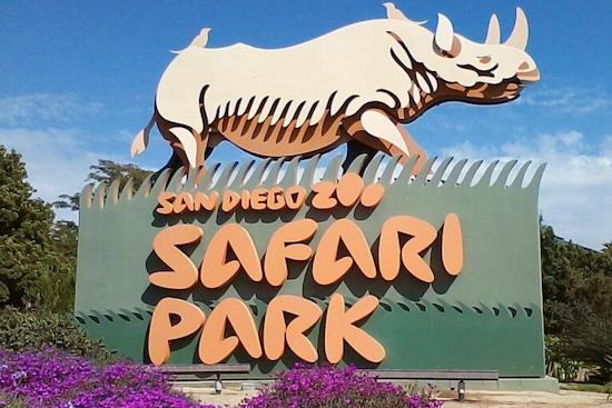 San Diego Zoo Safari Park Launches New Safari Excursions for an Exclusive Look at Wildlife Conservation