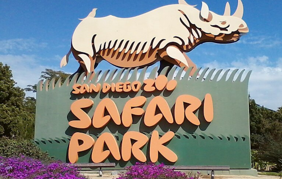 San Diego Zoo Safari Park Launches New Safari Excursions for an Exclusive Look at Wildlife Conservation