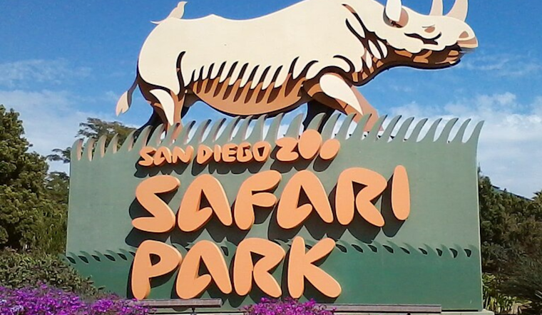 San Diego Zoo Safari Park Launches New Safari Excursions for an Exclusive Look at Wildlife Conservation