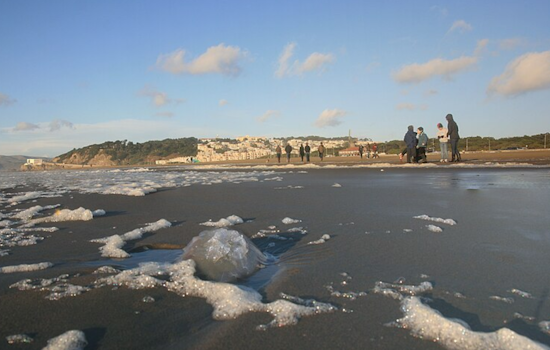 San Francisco Unites to Combat Ocean Beach Erosion with Dune Replanting Initiative