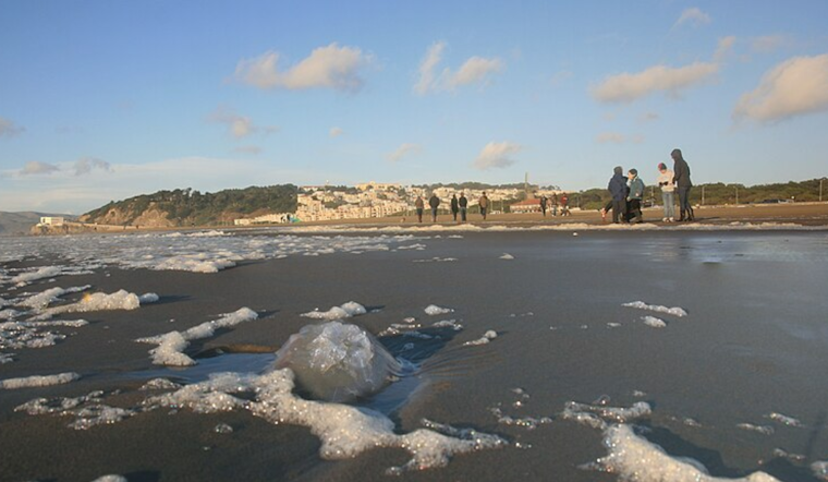San Francisco Unites to Combat Ocean Beach Erosion with Dune Replanting Initiative