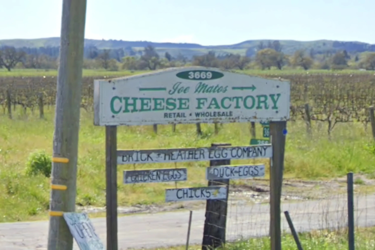 Santa Rosa's Beloved Joe Matos Cheese Factory Shuts Down After 45 Years, Ending Legacy of Traditional Portuguese Cheese